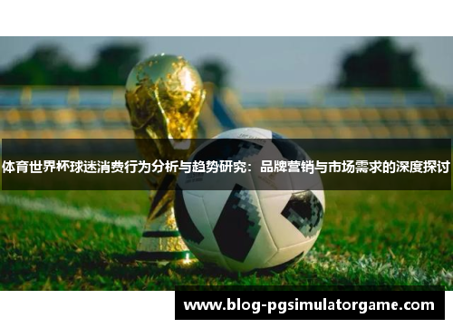 体育世界杯球迷消费行为分析与趋势研究：品牌营销与市场需求的深度探讨