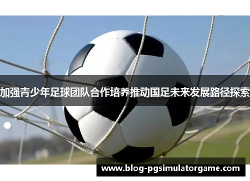 加强青少年足球团队合作培养推动国足未来发展路径探索
