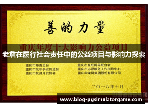 老詹在履行社会责任中的公益项目与影响力探索