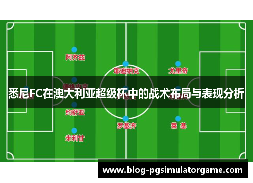 悉尼FC在澳大利亚超级杯中的战术布局与表现分析