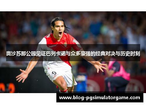 奥沙苏那公园见证巴列卡诺与众多豪强的经典对决与历史时刻