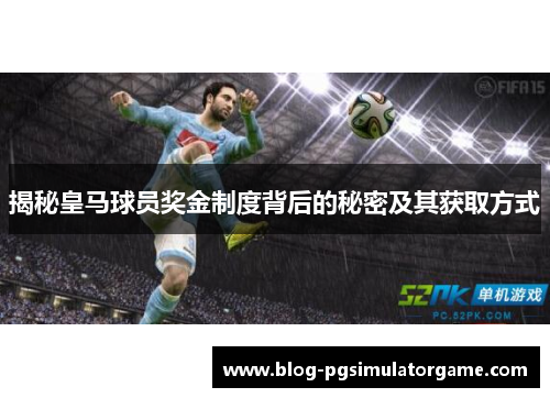 揭秘皇马球员奖金制度背后的秘密及其获取方式
