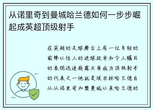 从诺里奇到曼城哈兰德如何一步步崛起成英超顶级射手