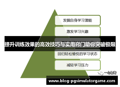 提升训练效果的高效技巧与实用窍门助你突破极限