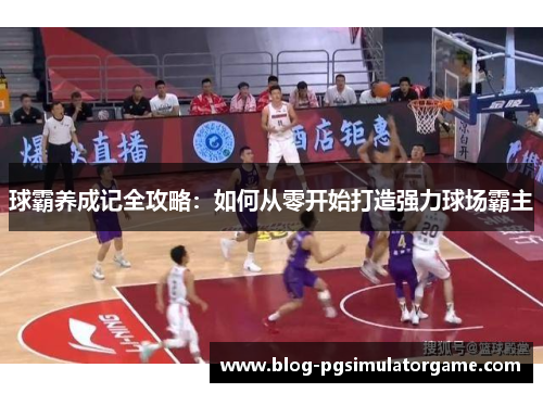 球霸养成记全攻略：如何从零开始打造强力球场霸主