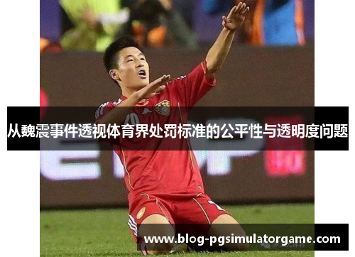 从魏震事件透视体育界处罚标准的公平性与透明度问题