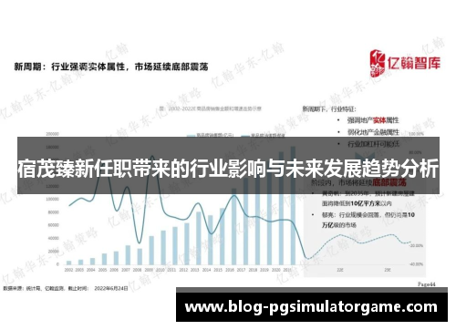 宿茂臻新任职带来的行业影响与未来发展趋势分析