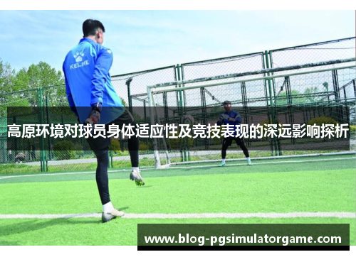 高原环境对球员身体适应性及竞技表现的深远影响探析