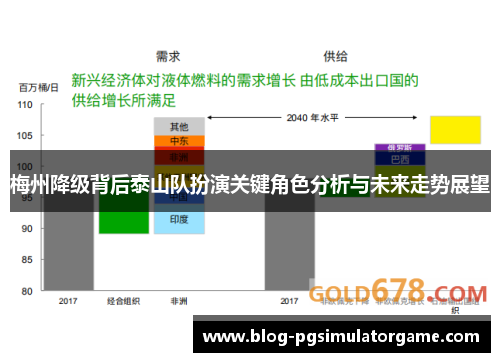 梅州降级背后泰山队扮演关键角色分析与未来走势展望