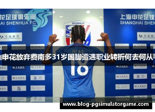 申花放弃费南多31岁国脚遭遇职业转折何去何从