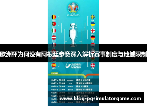 欧洲杯为何没有阿根廷参赛深入解析赛事制度与地域限制